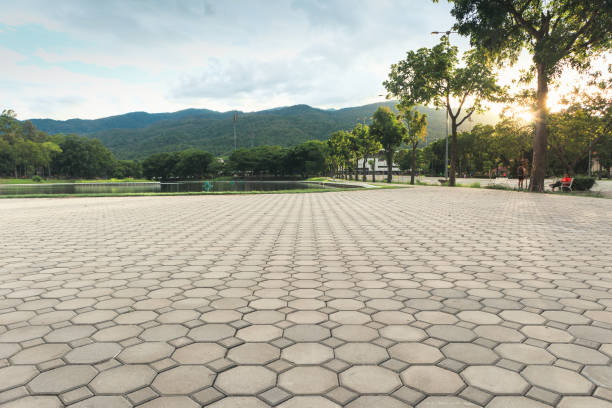 Best Driveway Pavers Near Me  in Citrus City, TX